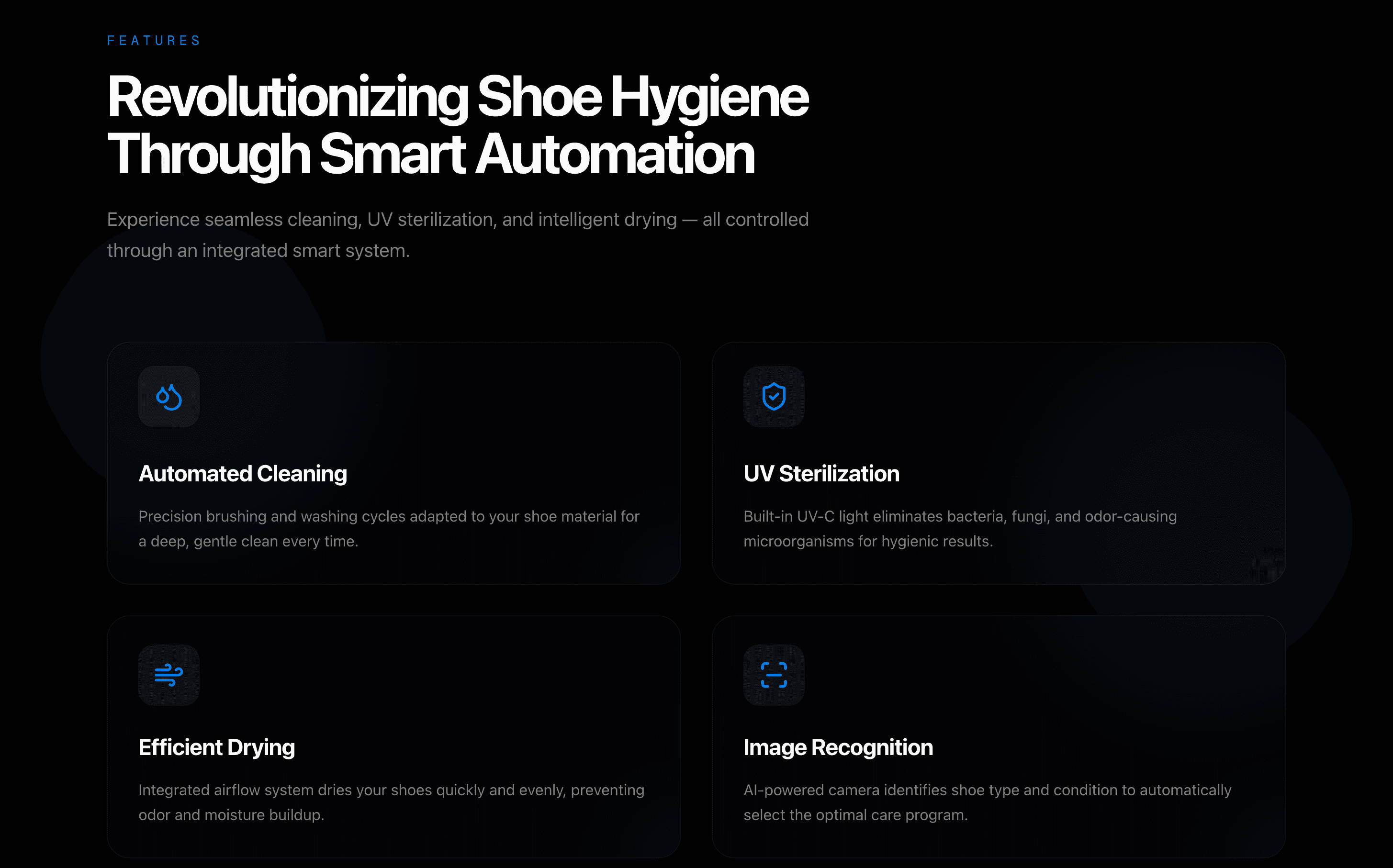 Smart Shoe Care landing page, view 5